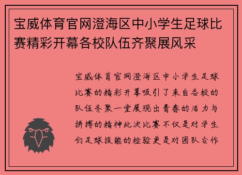 宝威体育官网澄海区中小学生足球比赛精彩开幕各校队伍齐聚展风采